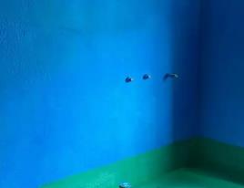 陈巴尔虎卫生间测漏水多少钱